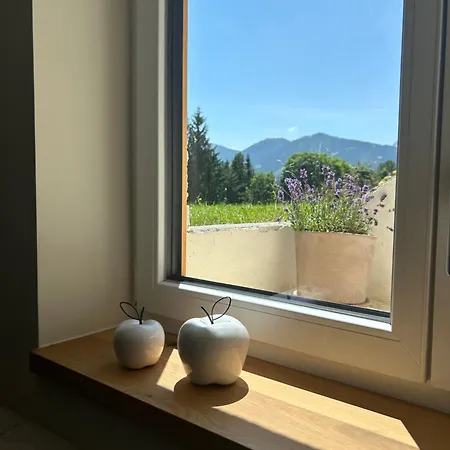 아파트 Blaue Lagune 람자우 암 다흐스타인